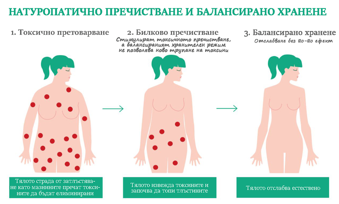 детоксификация и отслабване натуропатия с нсп