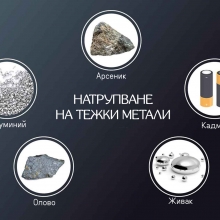 детокс от тежки метали нсп бг